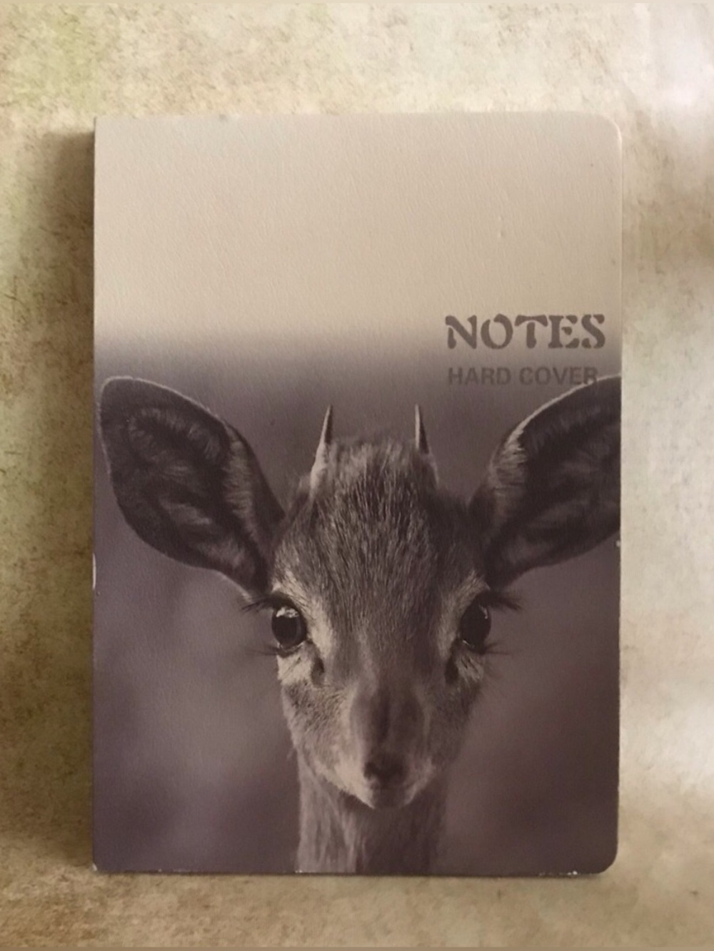 Cute Notebook Journal